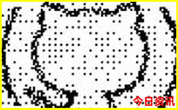 珠海旅游攻略自助游